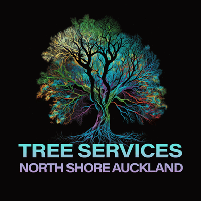 Arborist North shore Auckland - Tree services