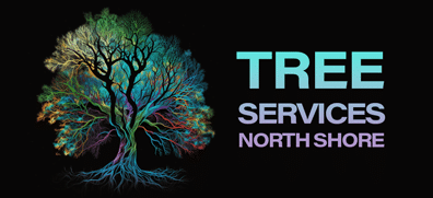 Tree Service North Shore
