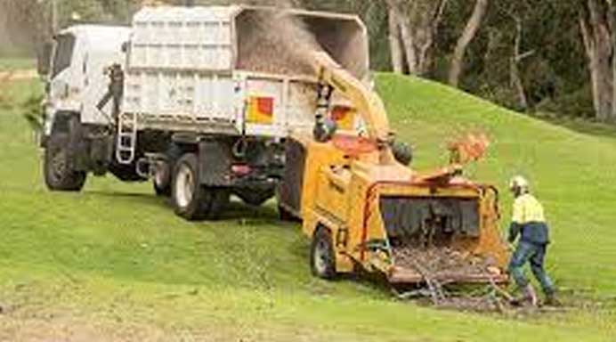 South Auckland tree services home page - tree cutting 